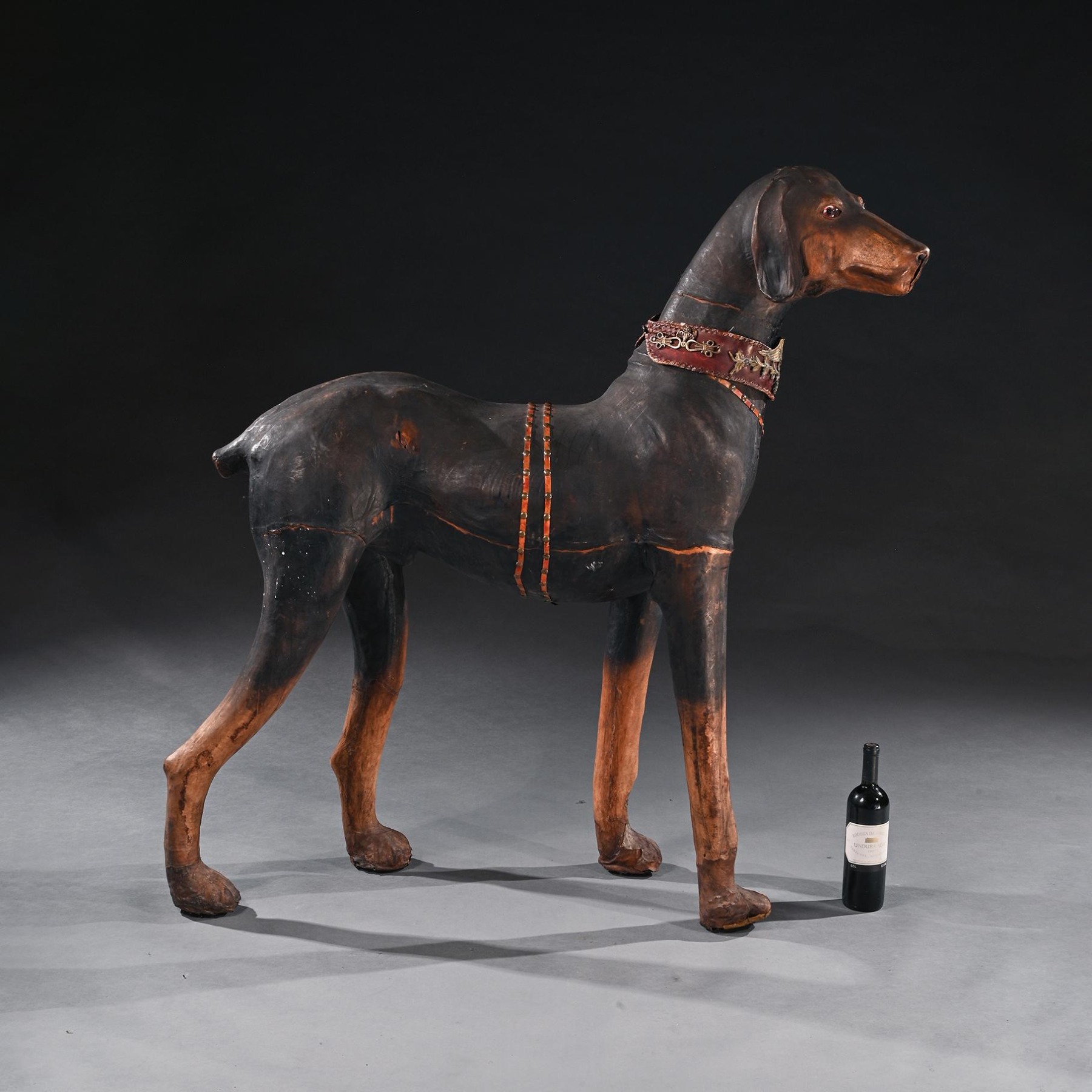 Large pinscher dog shop